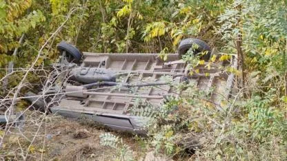 PANELVAN MİNİBÜS AĞAÇLIK ALANA DEVRİLDİ