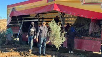 TUZ ÇALISI FİDANLARI MALATYA’DA MERALARA DİKİLECEK