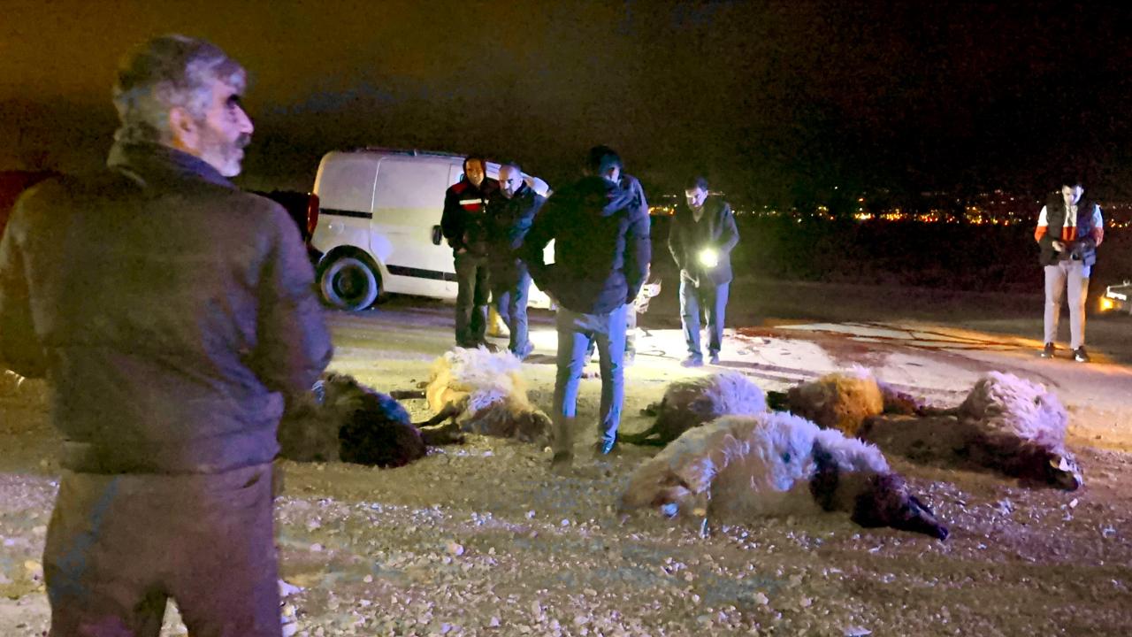 HAFİF TİCARİ ARAÇ KOYUN SÜRÜSÜNE DALDI