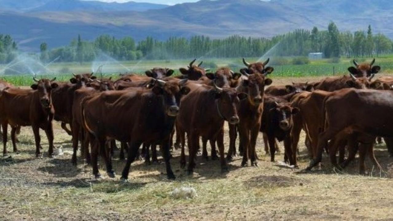 HALK ELİNDE ISLAH PROJELERİNE 2,7 MİLYAR TL DESTEK VERİLDİ