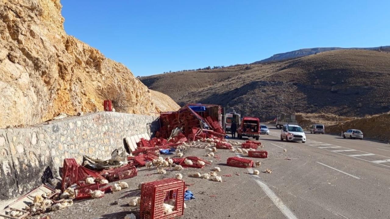 TAVUK YÜKLÜ KAMYON DEVRİLDİ