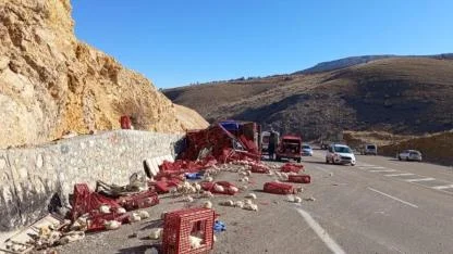 TAVUK YÜKLÜ KAMYON DEVRİLDİ