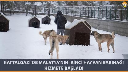 BATTALGAZİ’DE MALATYA’NIN İKİNCİ HAYVAN BARINAĞI HİZMETE BAŞLADI
