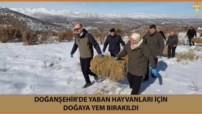 DOĞANŞEHİR'DE YABAN HAYVANLARI İÇİN DOĞAYA YEM BIRAKILDI