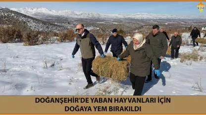 DOĞANŞEHİR'DE YABAN HAYVANLARI İÇİN DOĞAYA YEM BIRAKILDI