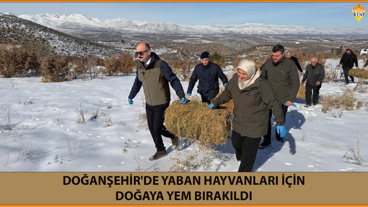 DOĞANŞEHİR'DE YABAN HAYVANLARI İÇİN DOĞAYA YEM BIRAKILDI