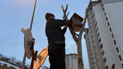 KUŞLAR İÇİN YUVA HAZIRLADI