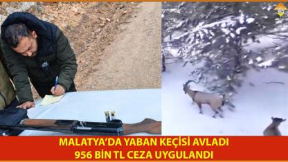 MALATYA’DA YABAN KEÇİSİ AVLADI:  956 BİN TL CEZA UYGULANDI