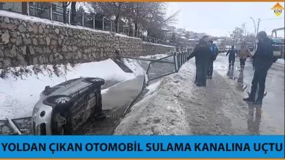 YOLDAN ÇIKAN OTOMOBİL SULAMA KANALINA UÇTU
