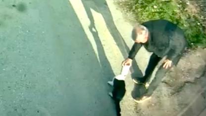 KEDİYİ MOTAŞ ŞOFÖRÜ KURTARDI