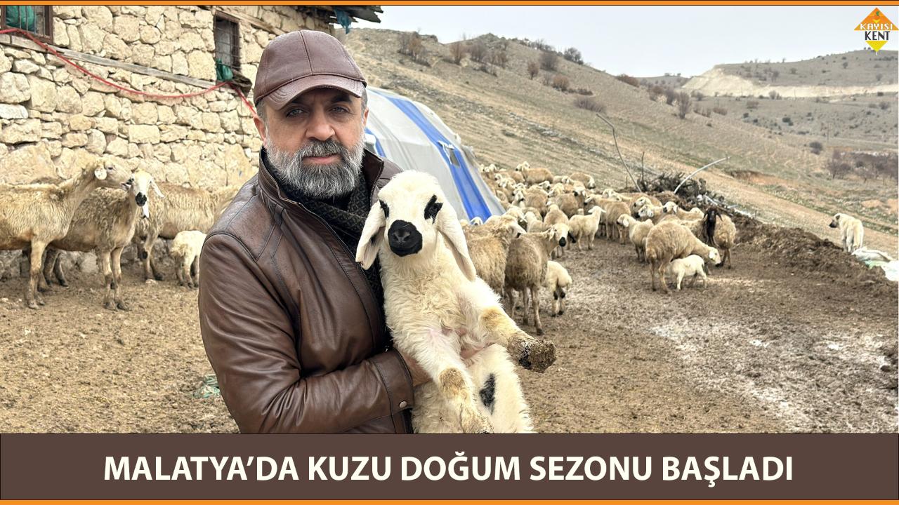 MALATYA’DA KUZU DOĞUM SEZONU BAŞLADI