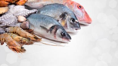 MALATYA’DA SU ÜRÜNLERİ AV YASAĞI BAŞLIYOR