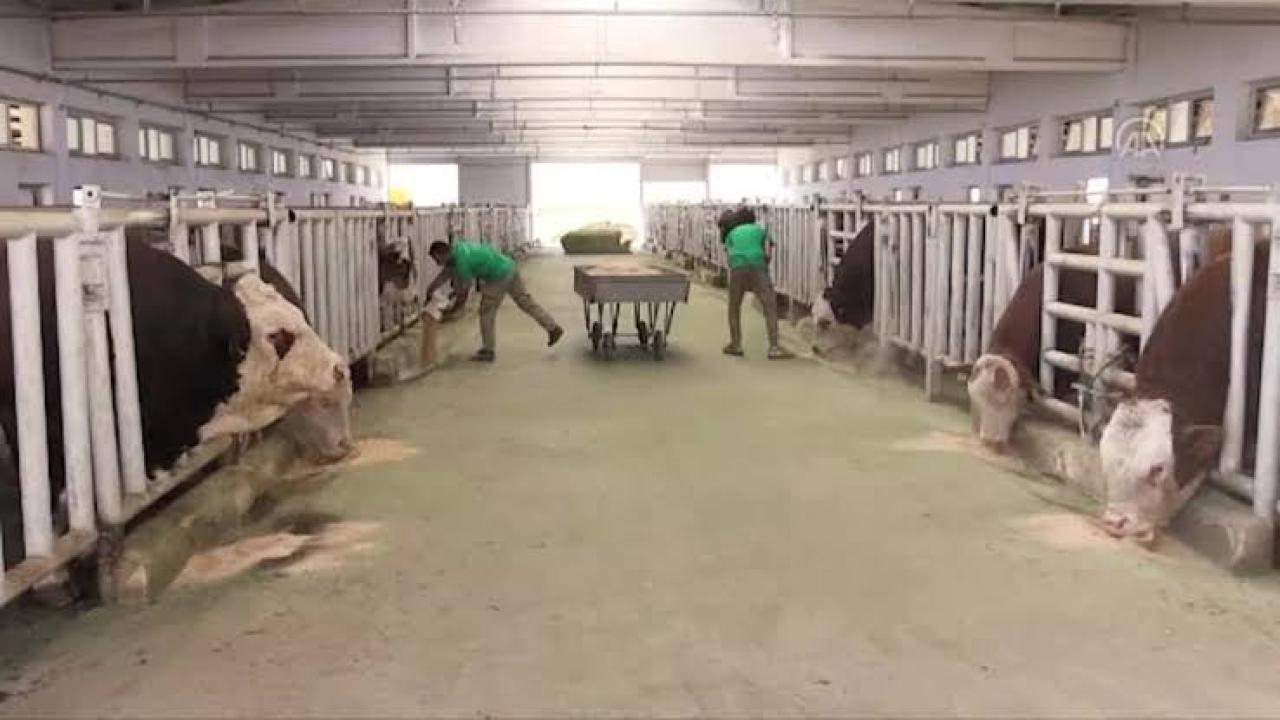 TİGEM SULTANSUYU İŞLETMESİ’NİN BİR KISMI KARANTİNAYA ALINDI