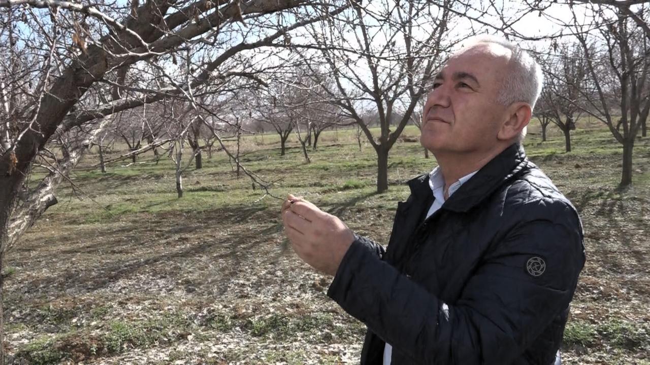 “MALATYA’YI ETKİLEYECEK BİR DON RİSKİ BEKLEMİYORUZ”