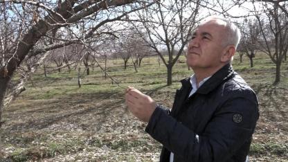 “MALATYA’YI ETKİLEYECEK BİR DON RİSKİ BEKLEMİYORUZ”