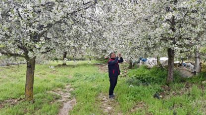 Afyonkarahisar’da Zirai Don Riskine Karşı Saha Kontrolleri Başladı
