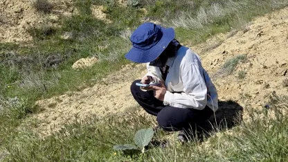 Doğanın Gizli Hazinesi Keşfediliyor!